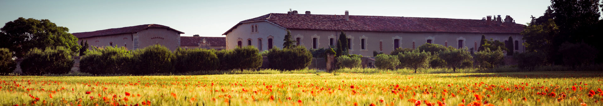 Le gîte du domaine d'Espeyran