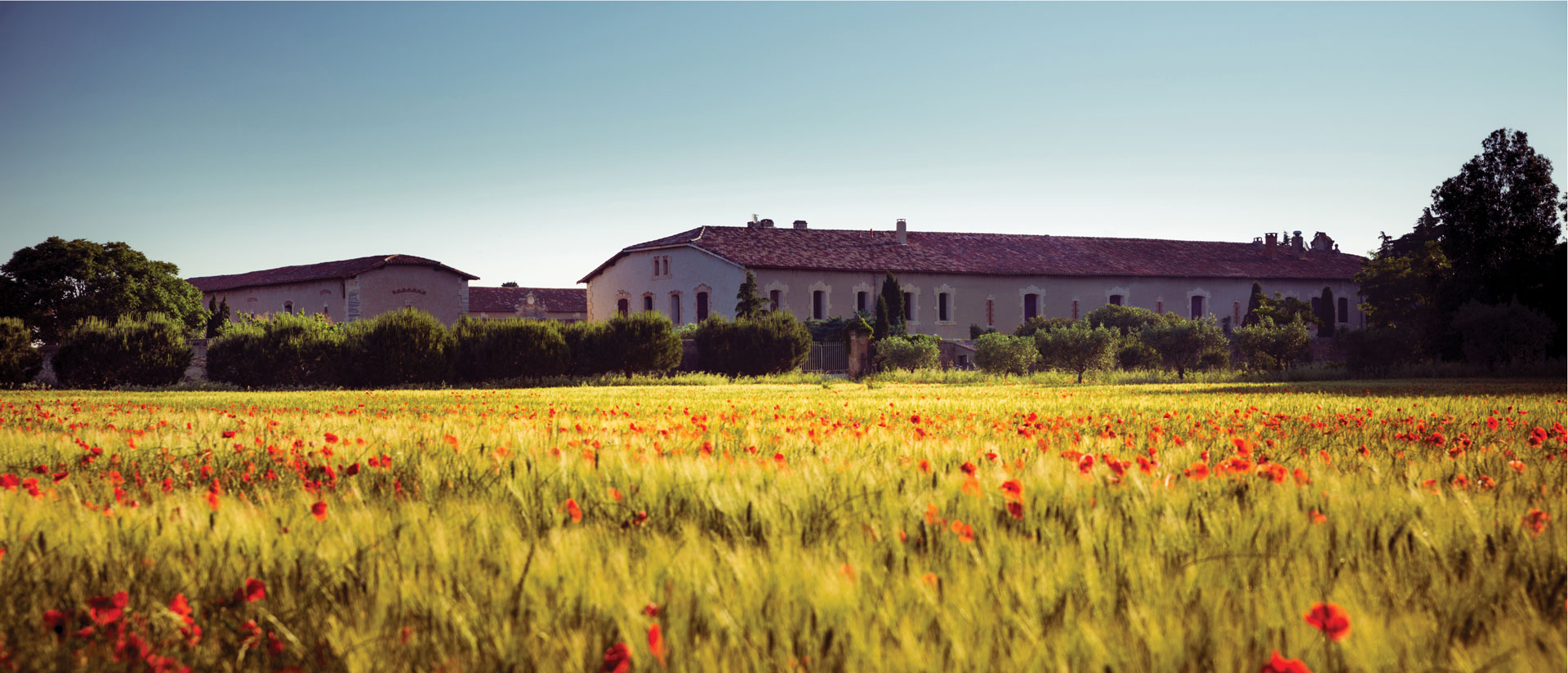 Le domaine d'Espeyran, gîte